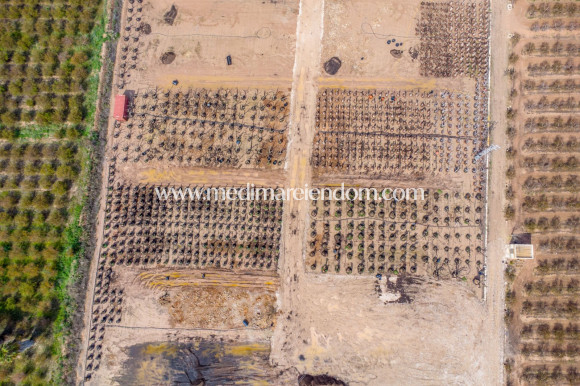 Endursala - Landsbyggð - Albatera