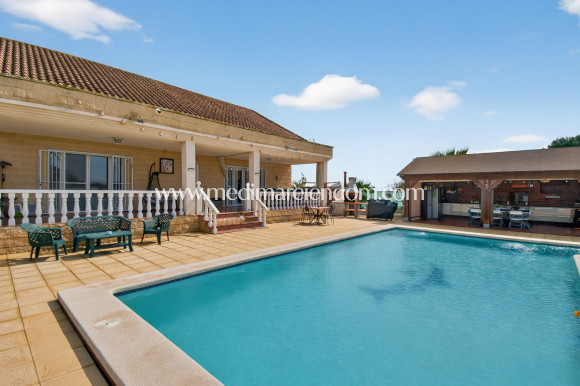 Endursala - Landsbyggð - Albatera