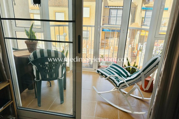 Endursala - Penthouse - Torrevieja - El Chaparral