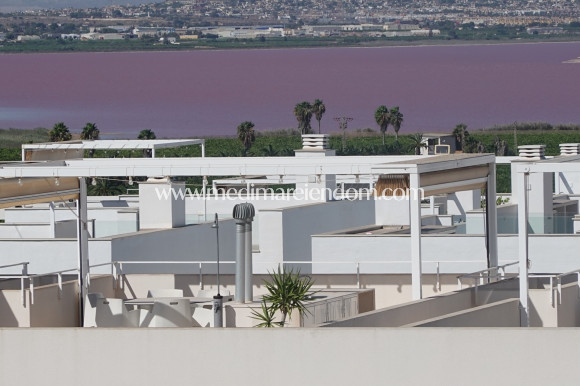 Endursala - Penthouse - Torrevieja - Los Balcones