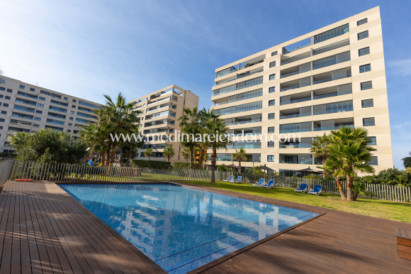 Endursala - Penthouse - Torrevieja - Punta Prima