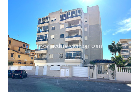 Íbúð á jarðhæð - Nýbygging - Torrevieja - Torrevieja