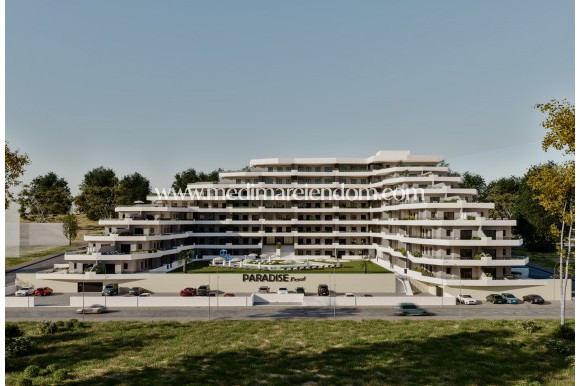 Íbúð - Nýbygging - San Miguel de Salinas - M8990