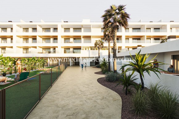 Íbúð - Nýbygging - Torrevieja - Torrevieja