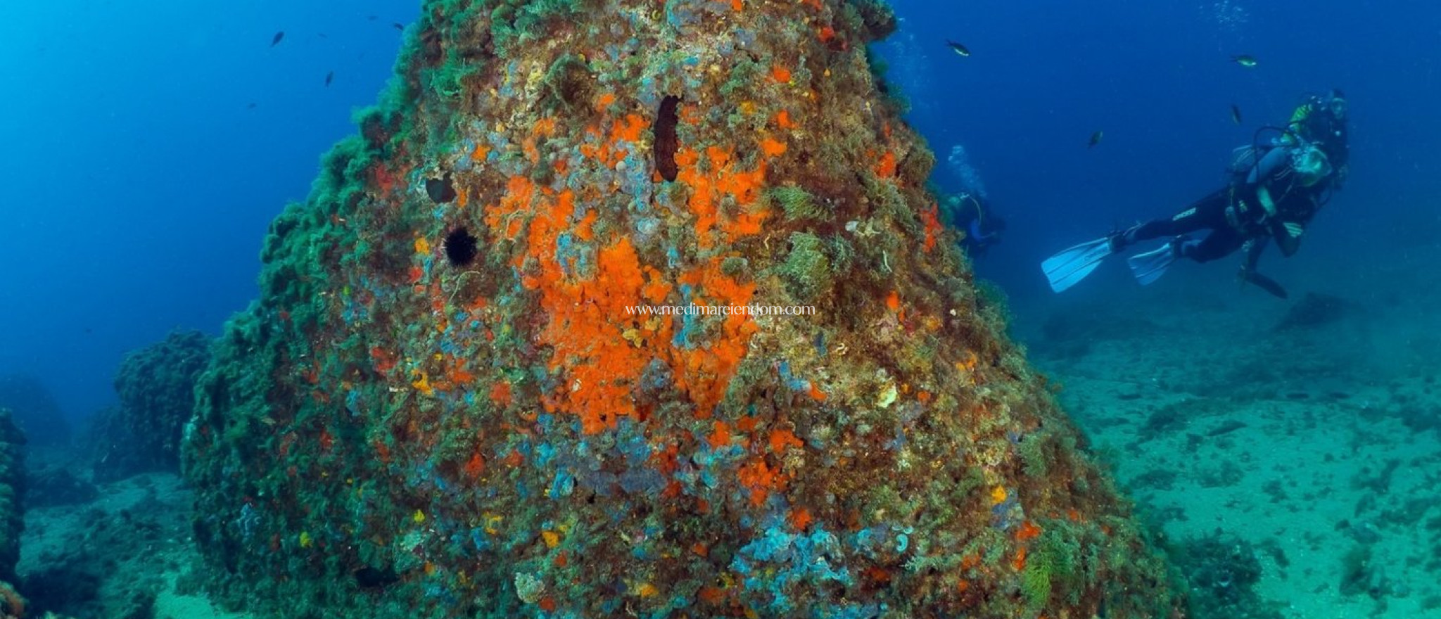 Neubauten - Apartment - Aguilas - Isla Del Fraile