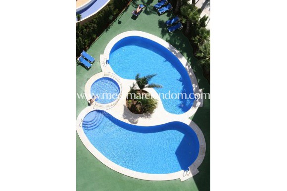 Neubauten - Apartment - Calpe - Calalga