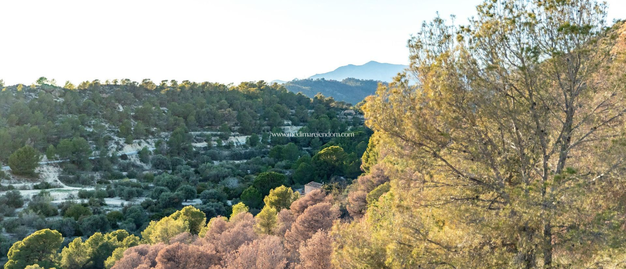 Neubauten - Apartment - Finestrat - Balcón De Finestrat