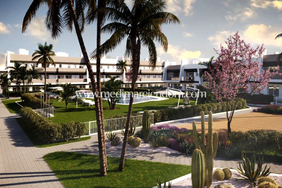 Neubauten - Apartment - Gran Alacant