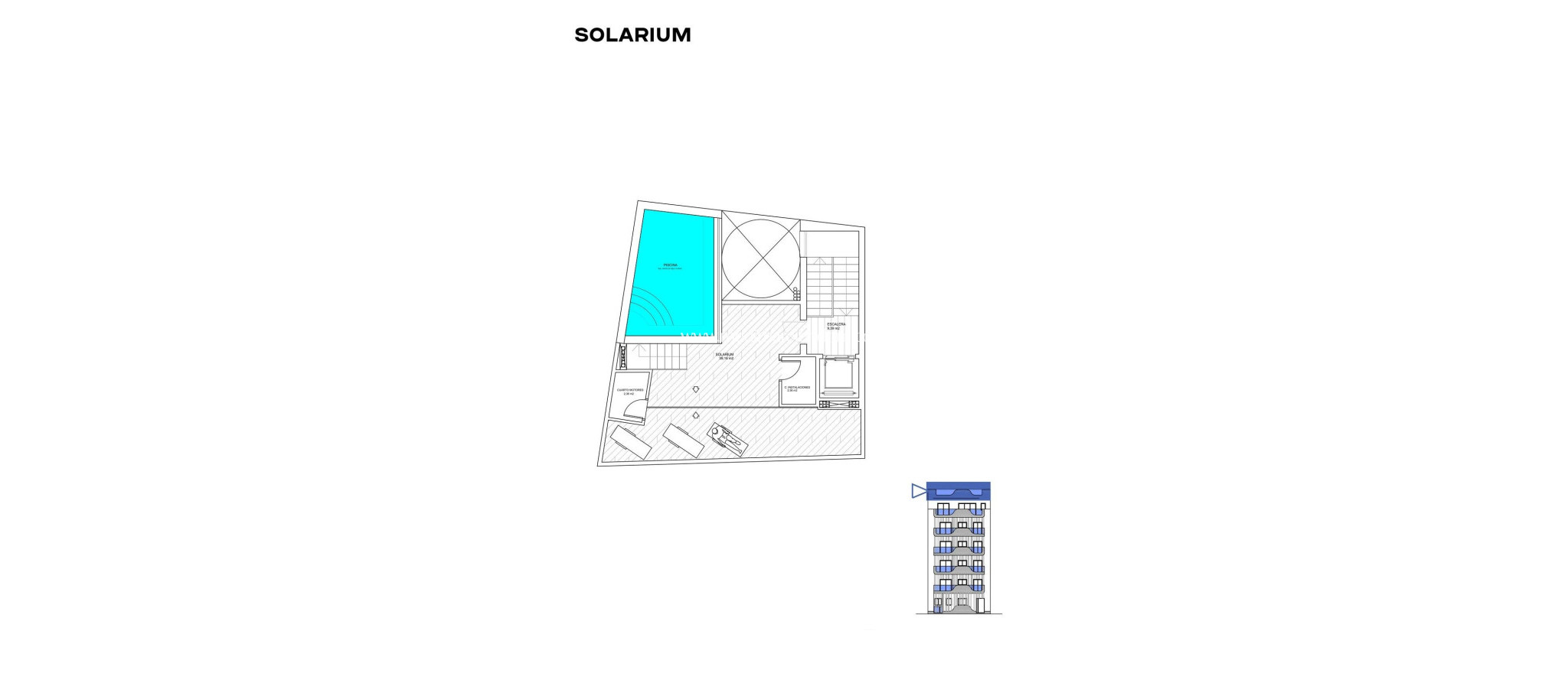 Neubauten - Apartment - Torrevieja - Playa De Los Locos