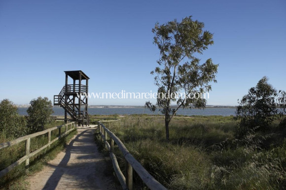 Neubauten - Bungalow - Torrevieja - Aguas Nuevas