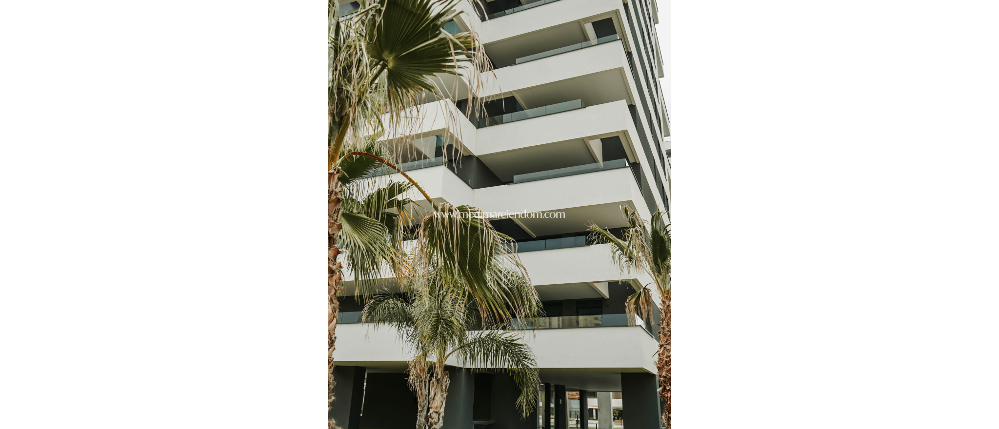 Neubauten - Penthouse - Calpe