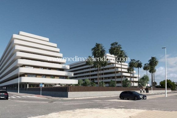 Neubauten - Penthouse - Moncofa - Playa de Moncofa