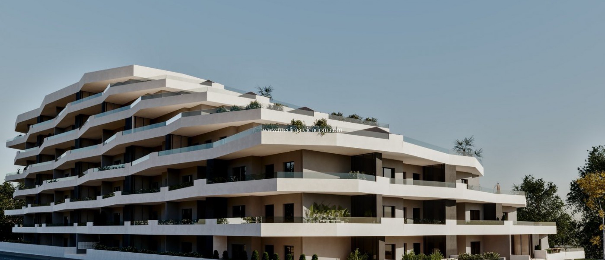 Neubauten - Penthouse - San Miguel de Salinas - Pueblo