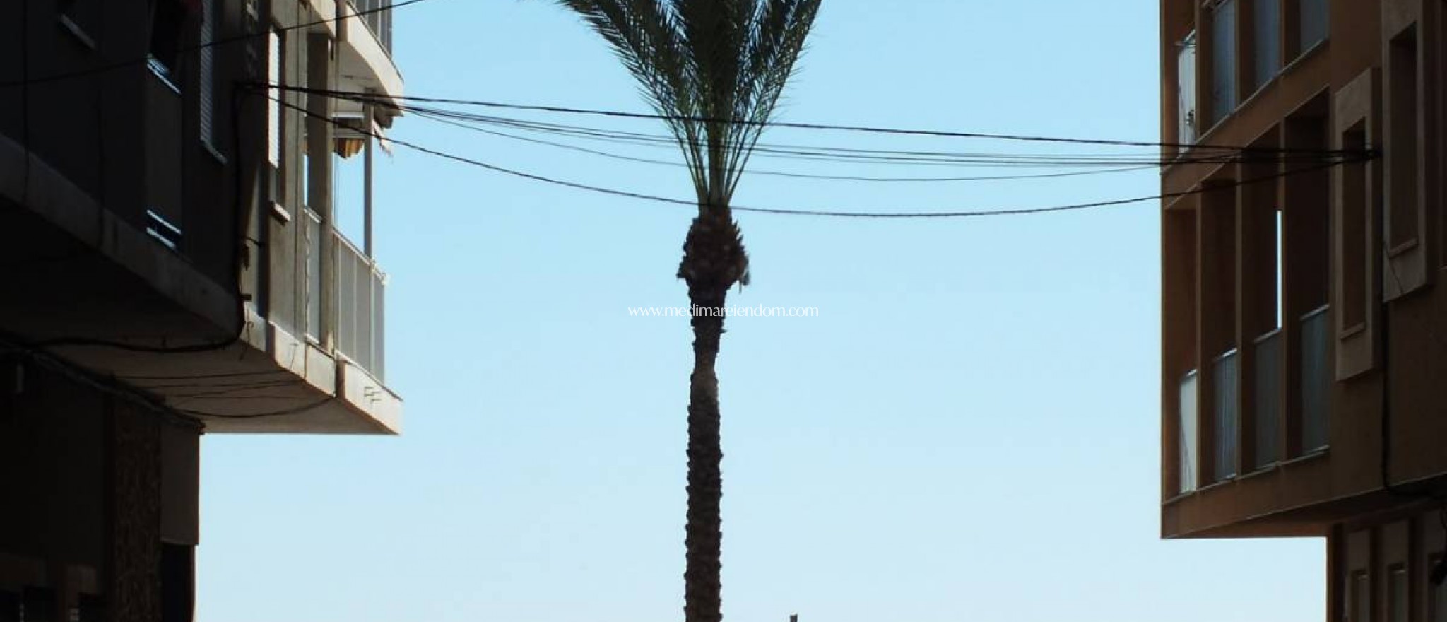 Neubauten - Penthouse - Torrevieja - Centro