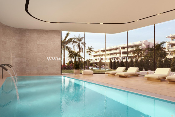 Neubauten - Penthouse - Torrevieja - La Hoya