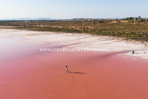 Neubauten - Penthouse - Torrevieja - Playa Del Cura