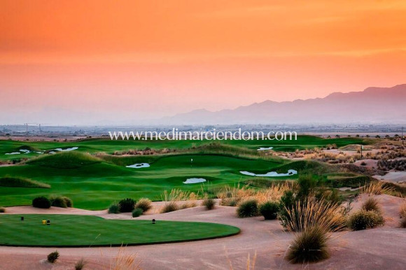 Neubauten - Villa - Alhama De Murcia - Condado de Alhama