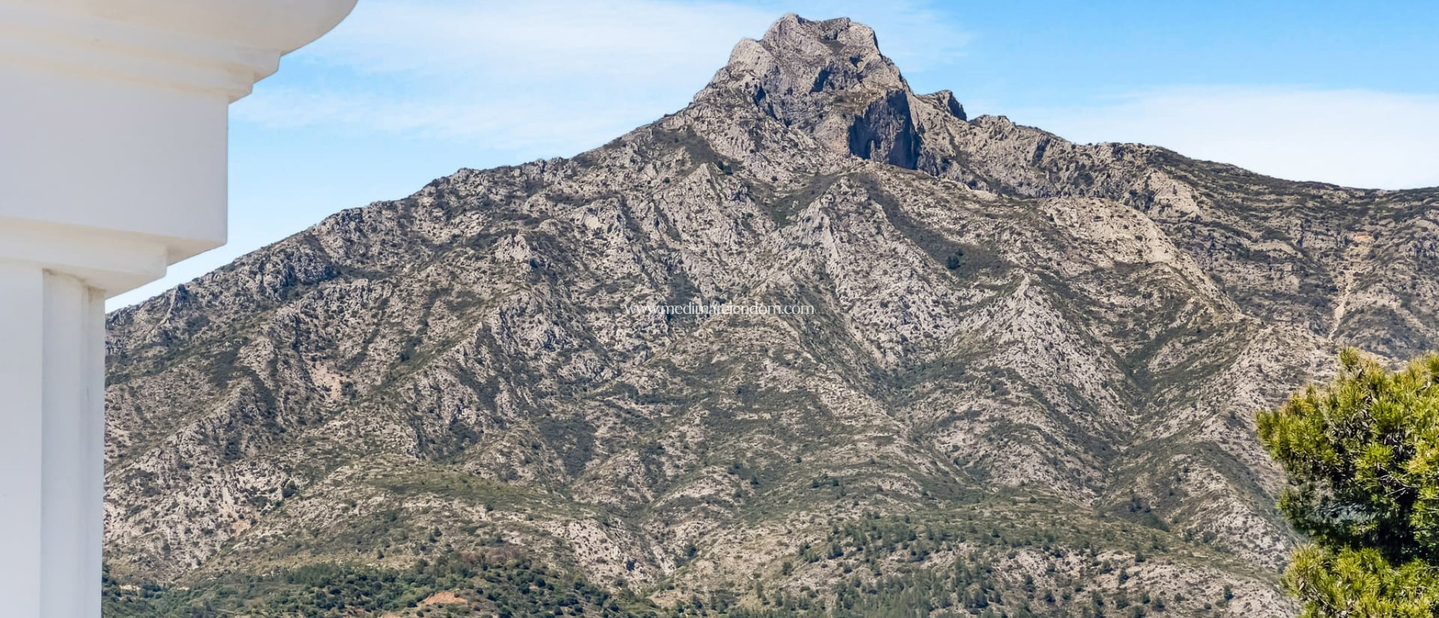 Neubauten - Villa - Marbella