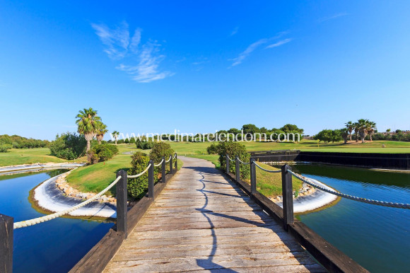 Neubauten - Villa - Pilar de la Horadada - Lo Romero Golf