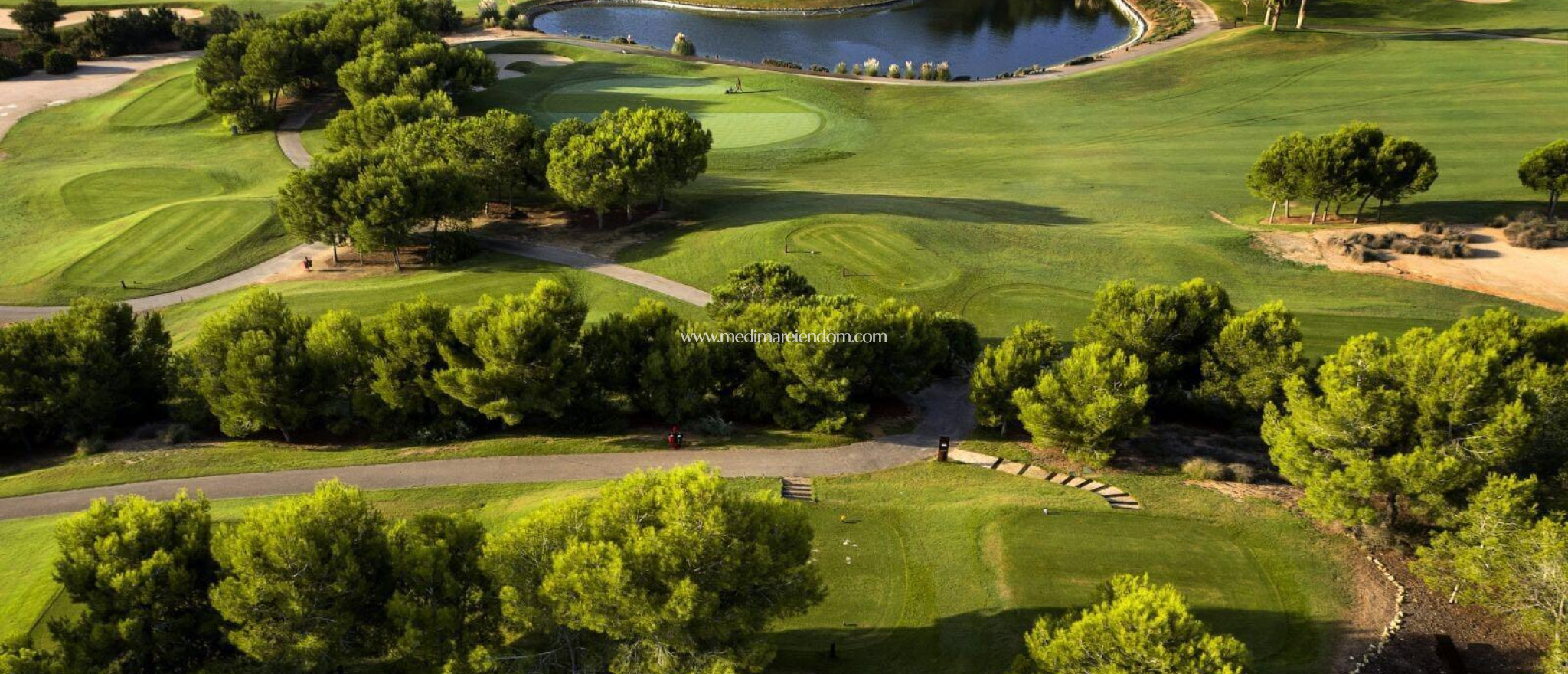 Neubauten - Villa - Pilar de la Horadada - Lo Romero Golf