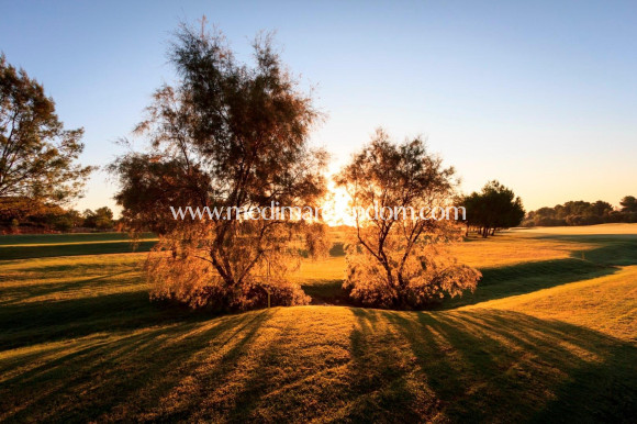 Neubauten - Villa - Pilar de la Horadada - Lo Romero Golf