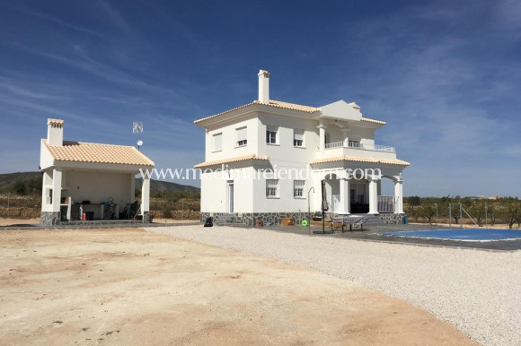 Neubauten - Villa - Pinoso - Camino Del Prado