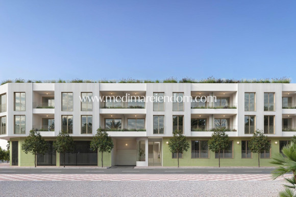 New build - Apartment - Jacarilla - Comunidad Valenciana