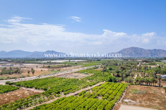 New build - Apartment - Jacarilla - Comunidad Valenciana