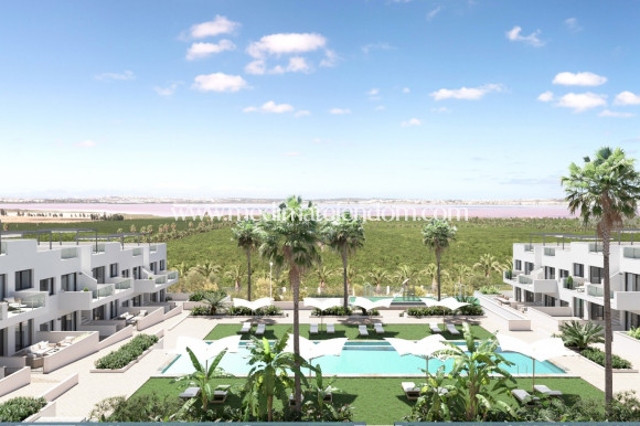 New build - Apartment - Torrevieja - Los Balcones - Los Altos del Edén