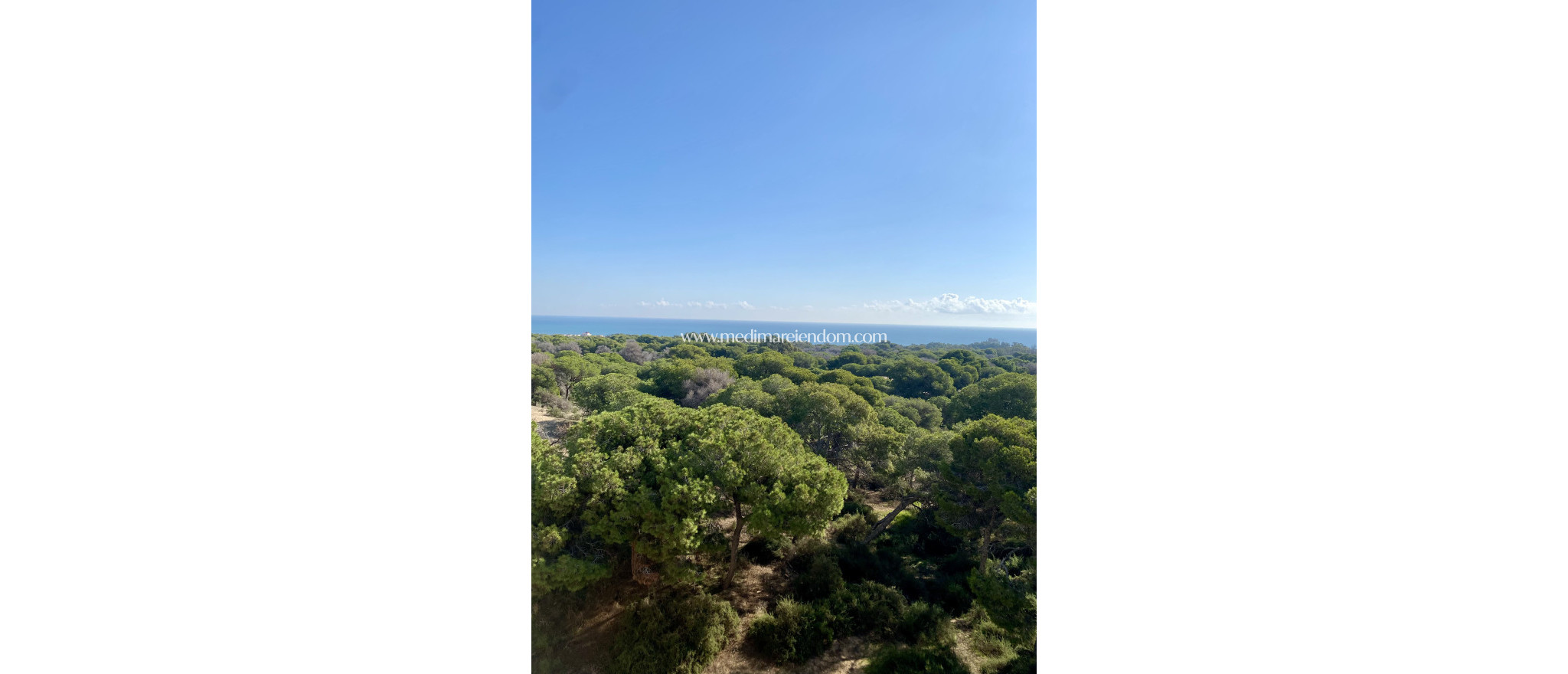 New build - Ground floor apartment - Guardamar del Segura - Guardamar Del Segura