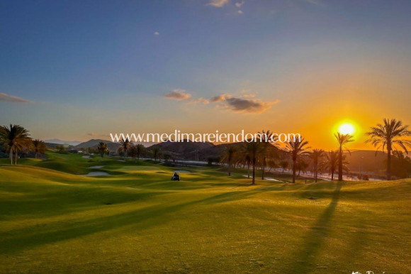 New build - Ground floor apartment - Pulpi - Aguilón Golf