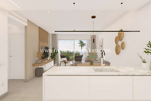 New build - Penthouse - Guardamar del Segura - El Raso