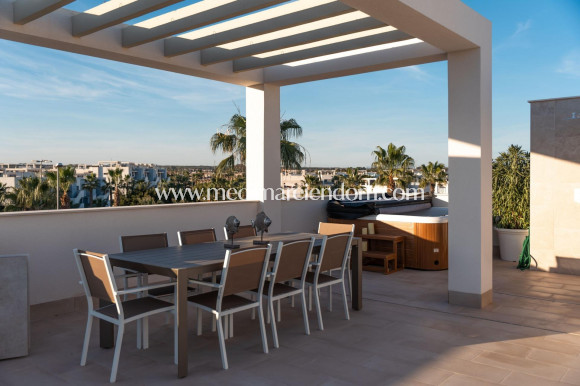New build - Penthouse - Guardamar del Segura - El Raso