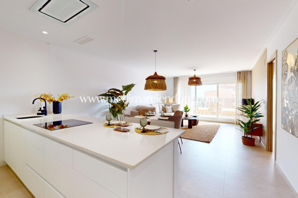 New build - Penthouse - Guardamar del Segura - El Raso
