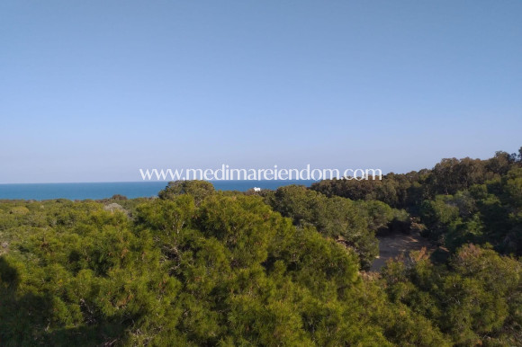 New build - Penthouse - Guardamar del Segura - Pueblo