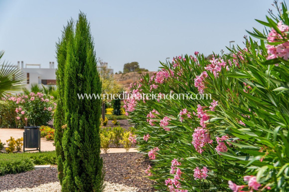 New build - Town House - Orihuela - Vistabella