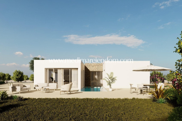 New build - Villa - Algorfa - Lomas De La Juliana