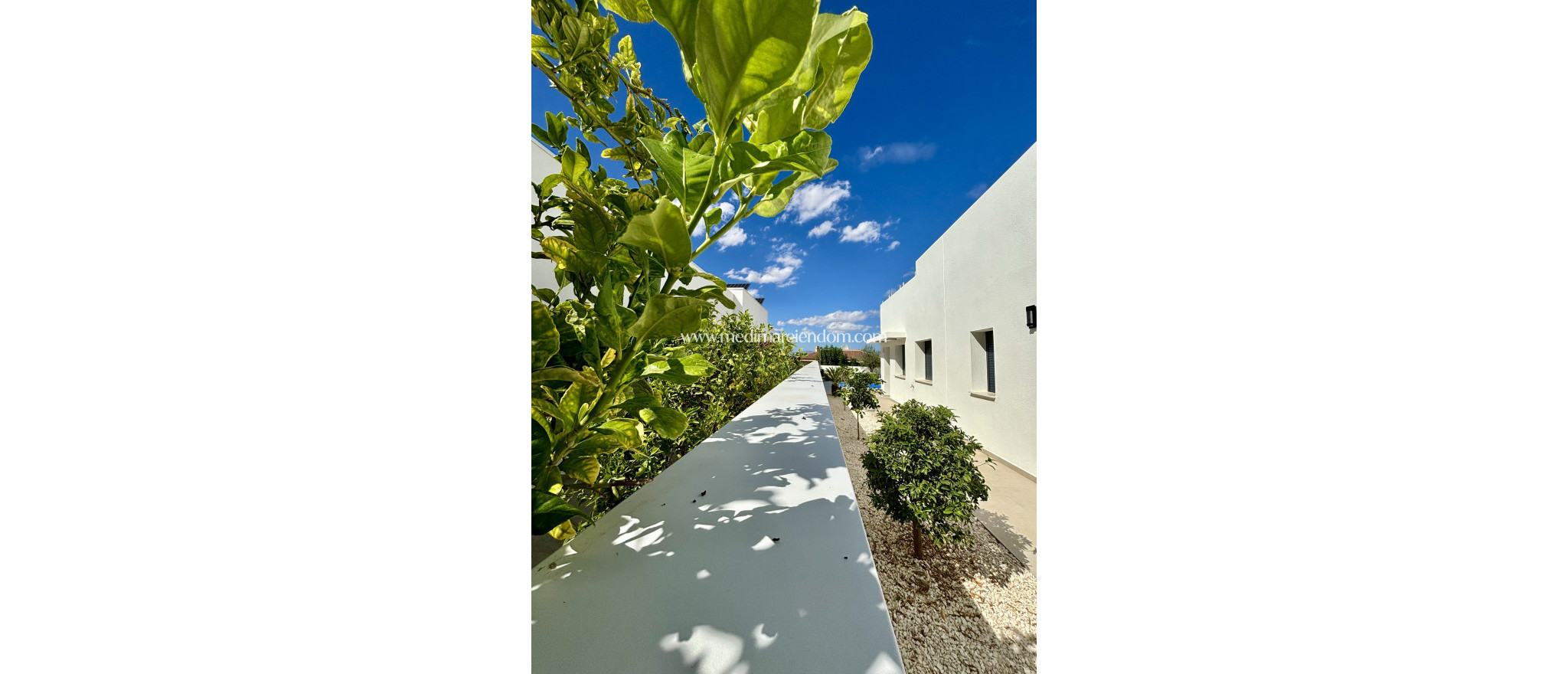 New build - Villa - Benijofar - Benijófar