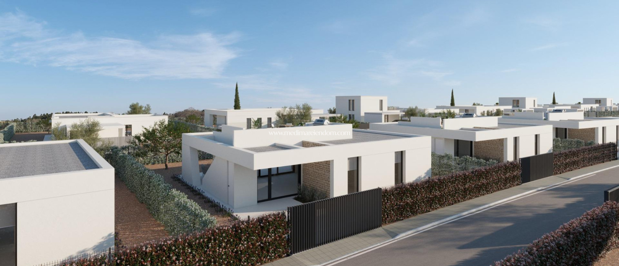 New build - Villa - Fuente Álamo - Hacienda del Alamo