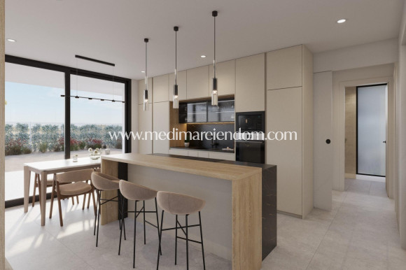 New build - Villa - Fuente Álamo - Hacienda del Alamo