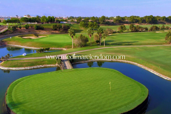 New build - Villa - Pilar de la Horadada - Lo Romero Golf