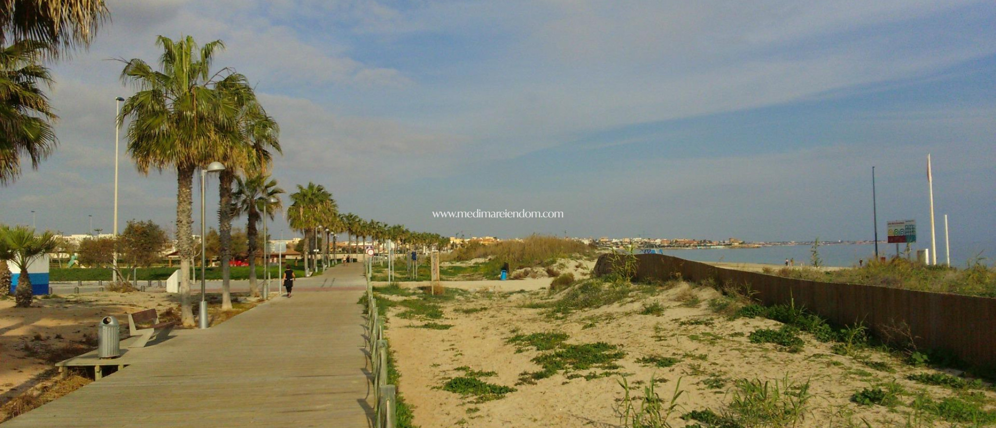 New build - Villa - Pilar de la Horadada