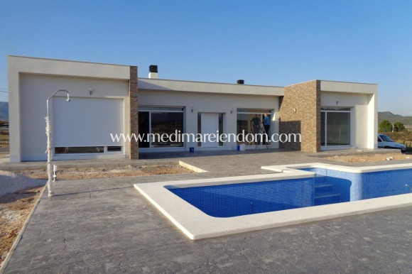 New build - Villa - Pinoso - Camino Del Prado