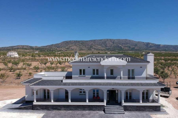 New build - Villa - Pinoso - Camino Del Prado