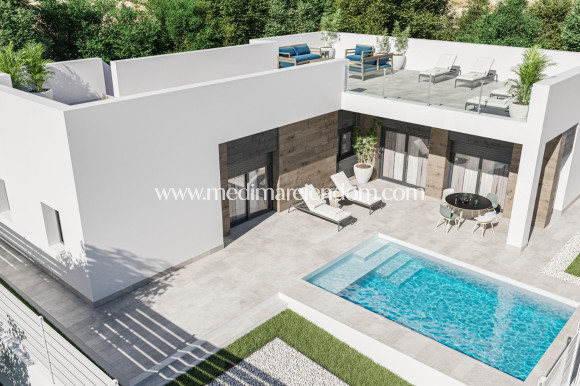 New build - Villa - Pinoso - Campo