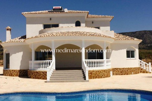 New build - Villa - Pinoso - Centro