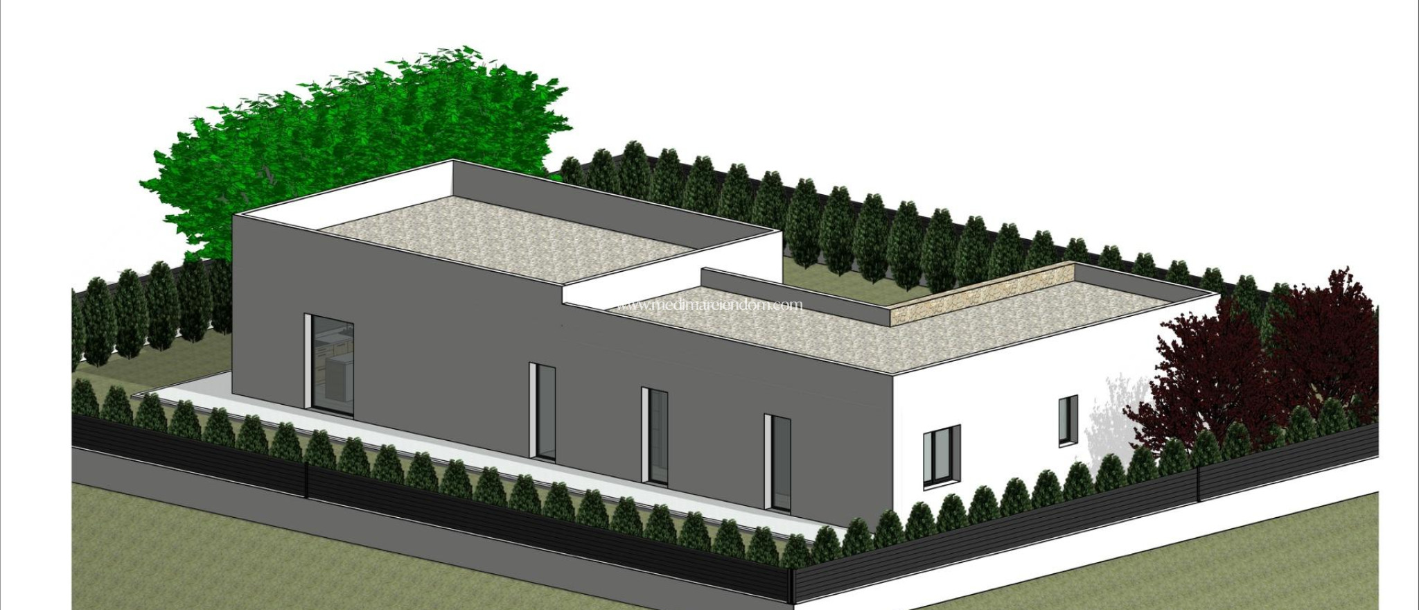 New build - Villa - Pinoso - Lel