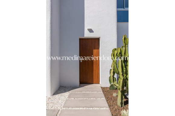 New build - Villa - San Fulgencio - Pueblo