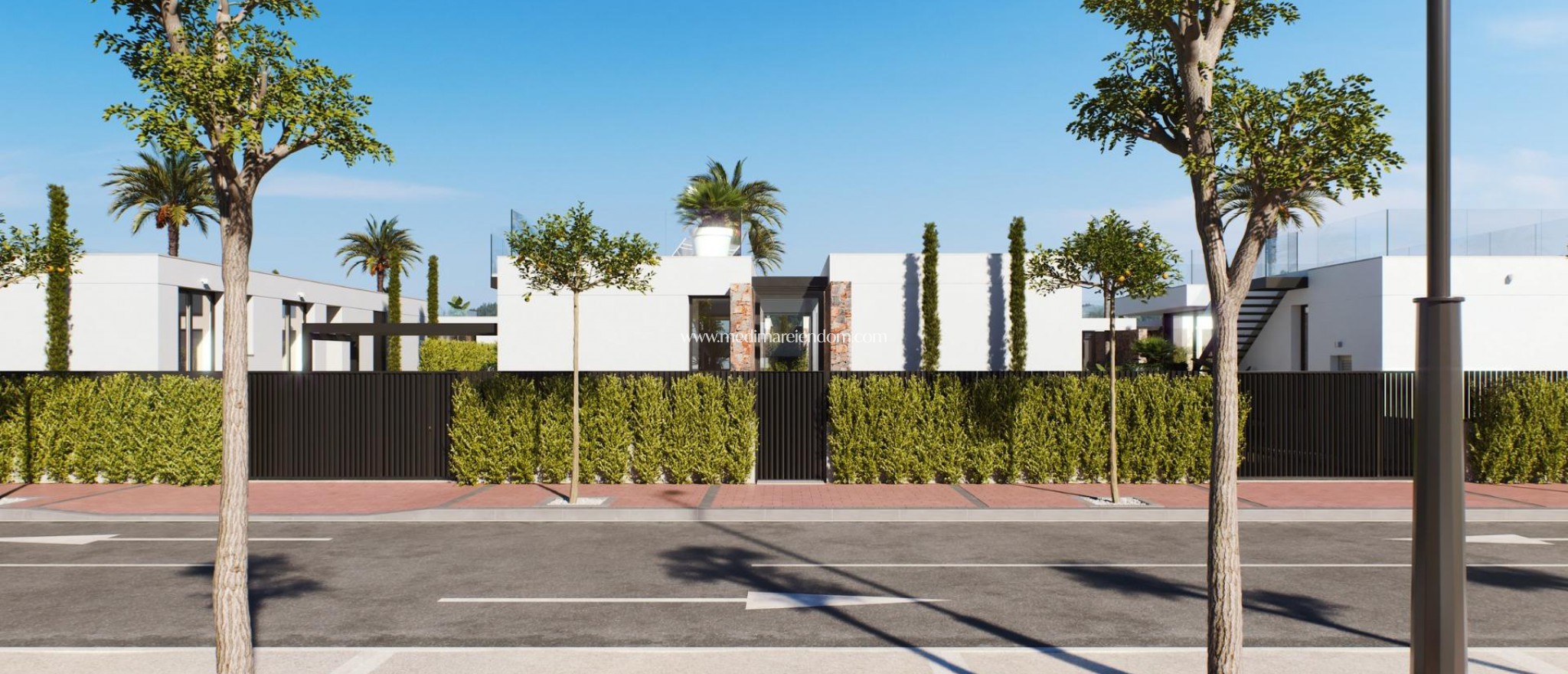 New build - Villa - Torre Pacheco - Santa Rosalía