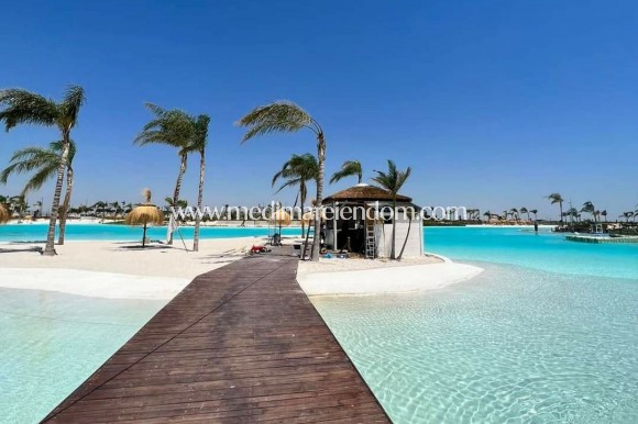 New build - Villa - Torre Pacheco - Santa Rosalía